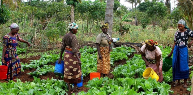 Women-Led Garden Initiatives