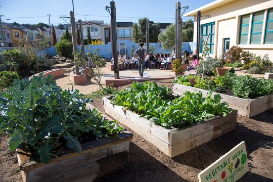 School Garden Design course