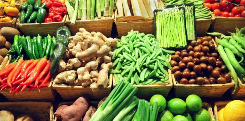 Diverse, intensive market garden with multiple crops and a farmer harvesting vegetables